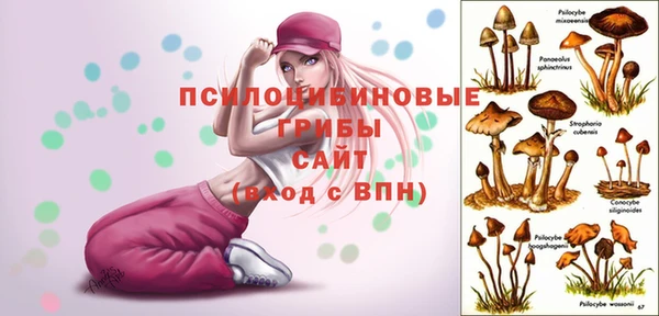 прущий лед Белоозёрский
